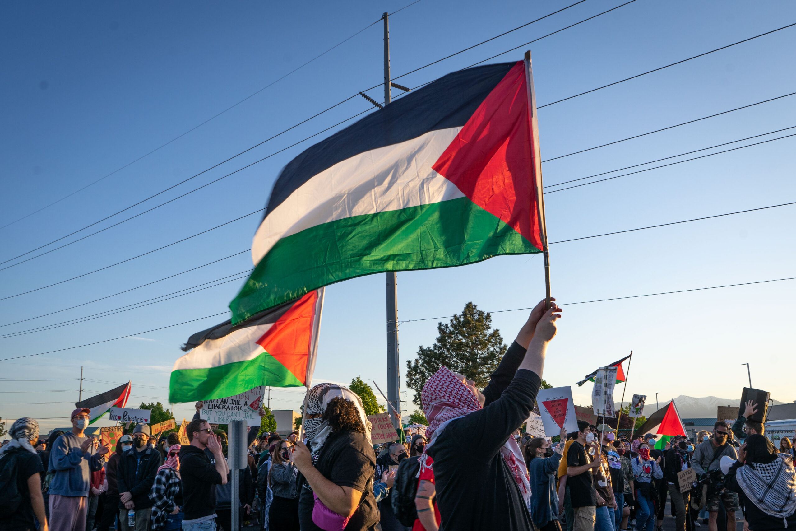 co oznacza free palestine